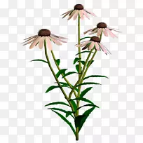 ������Ʋ廨����-�����뻨����ƴ���-������