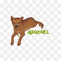 Ȯ�ּ�����С������-С��-������