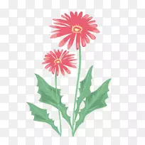 ���Ļ�-������