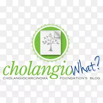 胆管癌-空若网 胆管癌-空若网