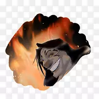 ��ĸ-������