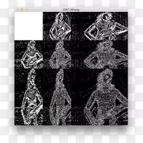 白色生物字体-离散小波变换-空若网 白色生物字体-离散小波变换-空若网