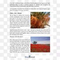 С����-л����-������