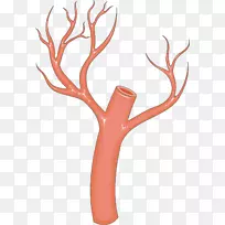 手指鹿角夹艺术设计-空若网 手指鹿角夹艺术设计-空若网