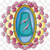 ���̲���/���̲���ѧ����-Cooky-������