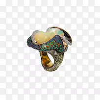 ����ʯ-������