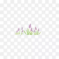 ޹�²�-������