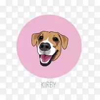 犬种猎犬小狗喜欢鼻子-小狗-空若网 犬种猎犬小狗喜欢鼻子-小狗-空若网