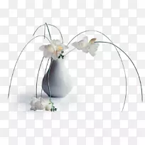 巴库花节水彩画水彩花卉节-空若网 巴库花节水彩画水彩花卉节-空若网