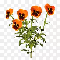 水彩画:花卉绘画三维空间植物花卉图案-空若网 水彩画:花卉绘画三维空间植物花卉图案-空若网