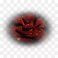 ��԰õ�廨����Ůװ-���⻨��װ��-������