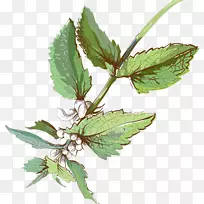 水彩画艺术.新鲜水彩画花饰-空若网 水彩画艺术.新鲜水彩画花饰-空若网