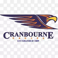 东南足球无球联赛托拉丁克兰伯恩少年足球俱乐部足球队澳大利亚足球教练-足球教练-空若网 东南足球无球联赛托拉丁克兰伯恩少年足球俱乐部足球队澳大利亚足球教练-足球教练-空若网