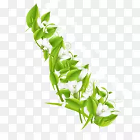 iphone 4s iphone 5s iphone se�ʻ�-���ʻ��ܲ�������-������