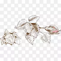 水彩画绘制计算机文件.新鲜水彩画花卉装饰-空若网 水彩画绘制计算机文件.新鲜水彩画花卉装饰-空若网