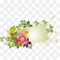 ������-���л���-������