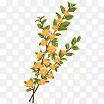 Сֲ֦Îï¾¥Ò¶¿ª»¨Ö²ÎïÒ¶-¿ÕÈôÍø Сֲ֦Îï¾¥Ò¶¿ª»¨Ö²ÎïÒ¶-¿ÕÈôÍø