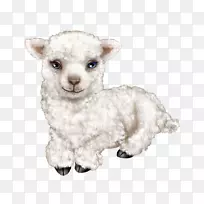 羊,山羊,毛绒动物&可爱的玩具,鼻子-羊-空若网 羊,山羊,毛绒动物&可爱的玩具,鼻子-羊-空若网