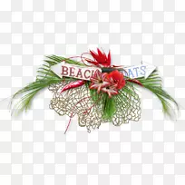 ���ܼ�����-����װ��-������