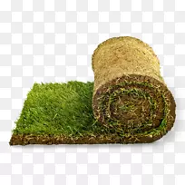 草皮草花园草-空若网 草皮草花园草-空若网