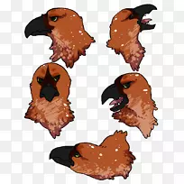 鸡喙作为食物剪贴画-哈皮亚-空若网 鸡喙作为食物剪贴画-哈皮亚-空若网