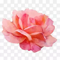 ��԰õ��ˮ�ʻ�.��ɫˮ�ʻ���Ԫ��-������