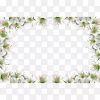 ���򶯻�ƴ��������.���ܱ���-������