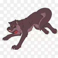 猫科灰狼萨沙·布劳斯·埃伦·耶格尔·阿明·阿尔尔特-猫-空若网 猫科灰狼萨沙·布劳斯·埃伦·耶格尔·阿明·阿尔尔特-猫-空若网