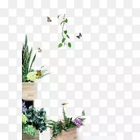 ������ƿ�Ʋ�ݮ����-������