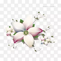 花卉绘制.花卉材料-空若网 花卉绘制.花卉材料-空若网