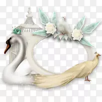 �����Ӱ֡����ѹ��.���ܱ߿��⻨������-������