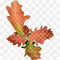 花卉水彩画.花卉图案创意设计材料-空若网 花卉水彩画.花卉图案创意设计材料-空若网