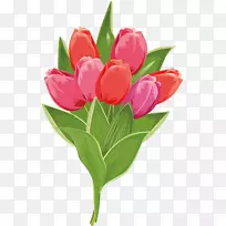 郁金香图-花卉装饰-空若网 郁金香图-花卉装饰-空若网