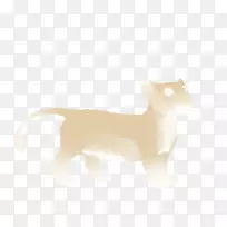 猫狗野生动物尾巴动物-猫-空若网 猫狗野生动物尾巴动物-猫-空若网