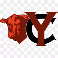 ����˹ţ�찲��˹�������־������-����˹-������