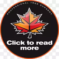 攀登者路树护理树学家标志南安普敦树-空若网 攀登者路树护理树学家标志南安普敦树-空若网