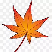 ��Ҷ�ԳƼ�����-������