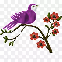 博客-12-空若网 博客-12-空若网