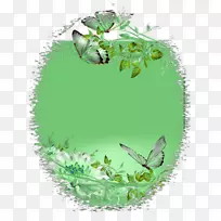 昆虫中草药授粉昆虫-空若网 昆虫中草药授粉昆虫-空若网