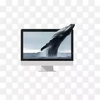 电脑监控多媒体克赖斯特彻奇商务俱乐部液晶电视-令人惊叹的会议-空若网 电脑监控多媒体克赖斯特彻奇商务俱乐部液晶电视-令人惊叹的会议-空若网