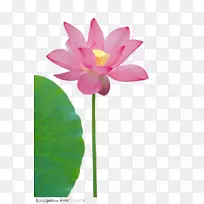 ���껨����Ӱ�������ֻ��鱦-������