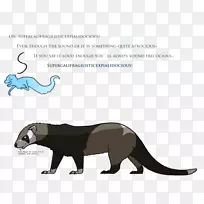 猫陆生动物芥菜卡通野生动物-猫-空若网 猫陆生动物芥菜卡通野生动物-猫-空若网