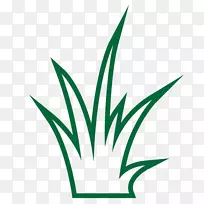 叶草植物茎线段艺术-叶-空若网 叶草植物茎线段艺术-叶-空若网