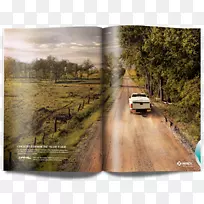 山水画车漆-空若网 山水画车漆-空若网