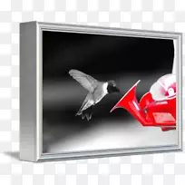 画框.授粉器.设计-空若网 画框.授粉器.设计-空若网