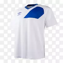 T-������ķ���ް��ϴ�˹��������-t��-������