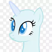 胡须,猫,马,鼻子,-猫-空若网 胡须,猫,马,鼻子,-猫-空若网