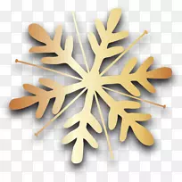 叶字体设计-空若网 叶字体设计-空若网