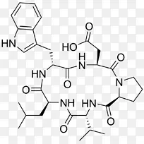 绘制白色人类行为技术手指技术-空若网 绘制白色人类行为技术手指技术-空若网