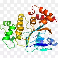 �����߶����������-������